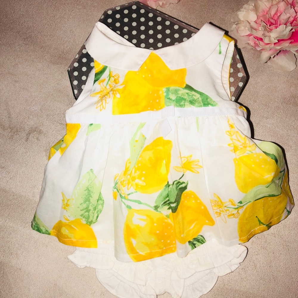 NWT dressed up by Gymboree blouse top with bloomer